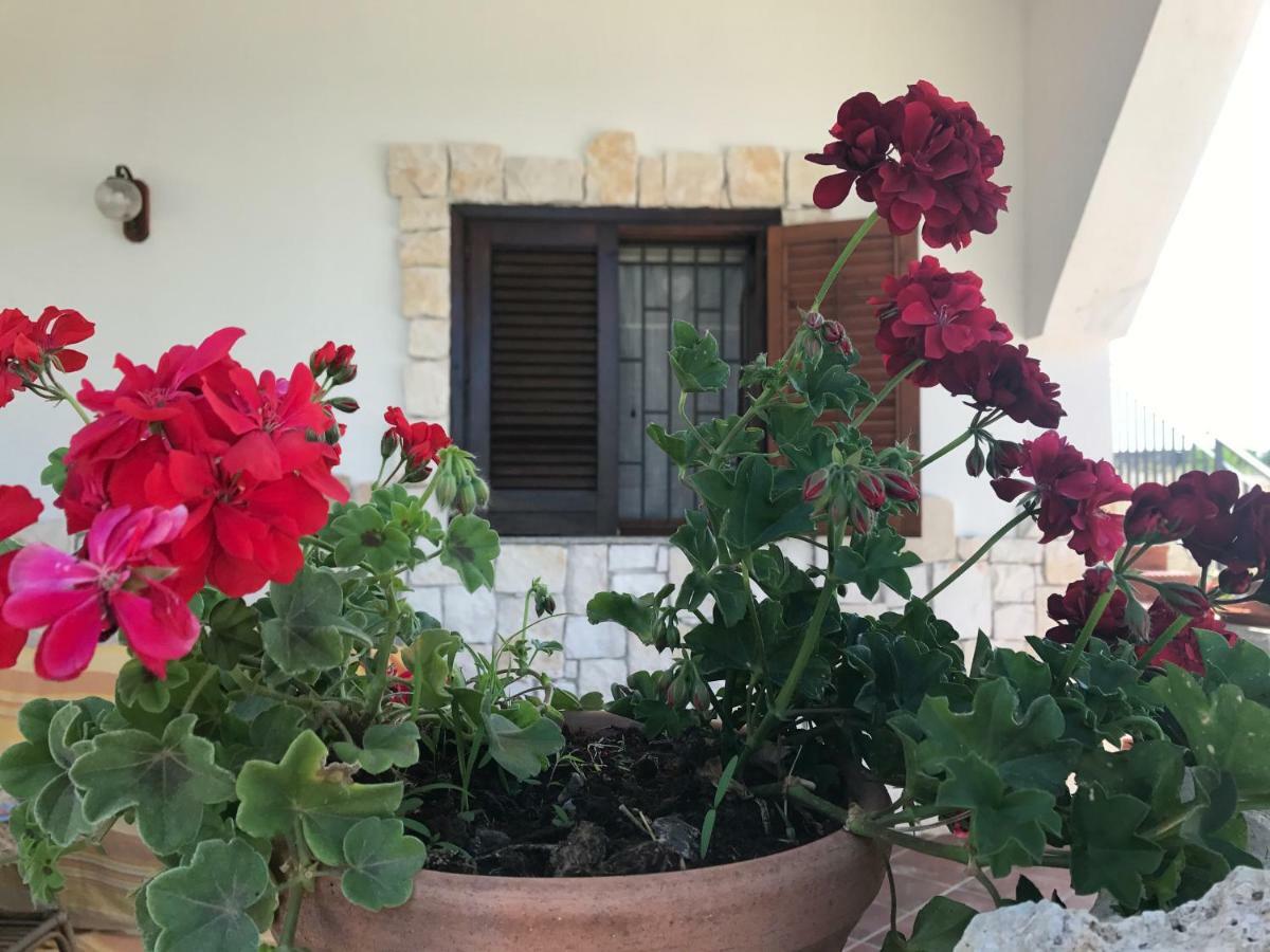 Villa Rosa - Ai Piedi Dell'Etna Brucoli Εξωτερικό φωτογραφία